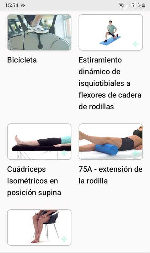 Programa de ejercicios en línea Tendinopatía del recto femoral