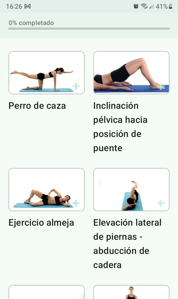 Programa de ejercicios en línea Inestabilidad pélvica