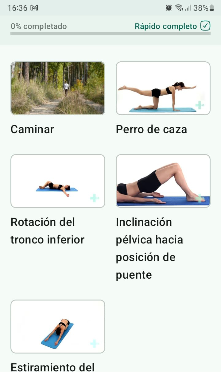 Programa de ejercicios en línea Escoliosis